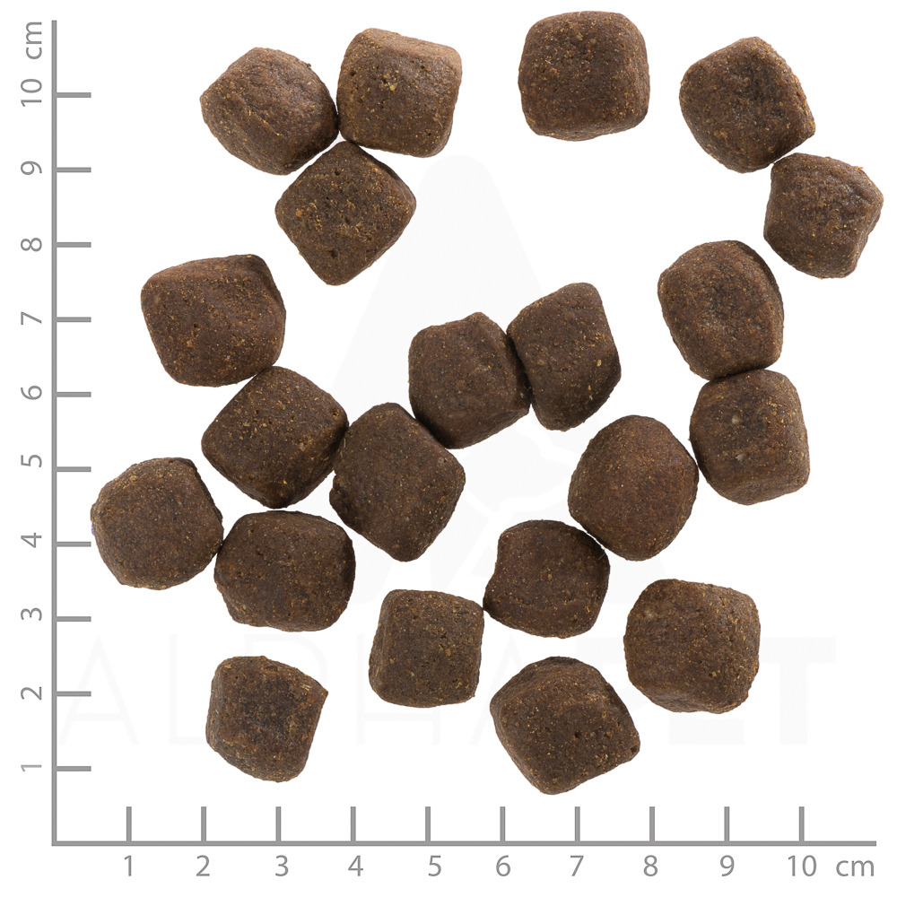 Das Bild zeigt Wolfsblut Trockenfutter für Hunde in der Geschmacksrichtung Wildfleisch. Die Zielgruppe sind ausgewachsene Hunde. Die abgebildeten Kroketten sind würfelförmig und etwa 2 cm groß. Die Marke Wolfsblut steht für hochwertige, getreidefreie Tier