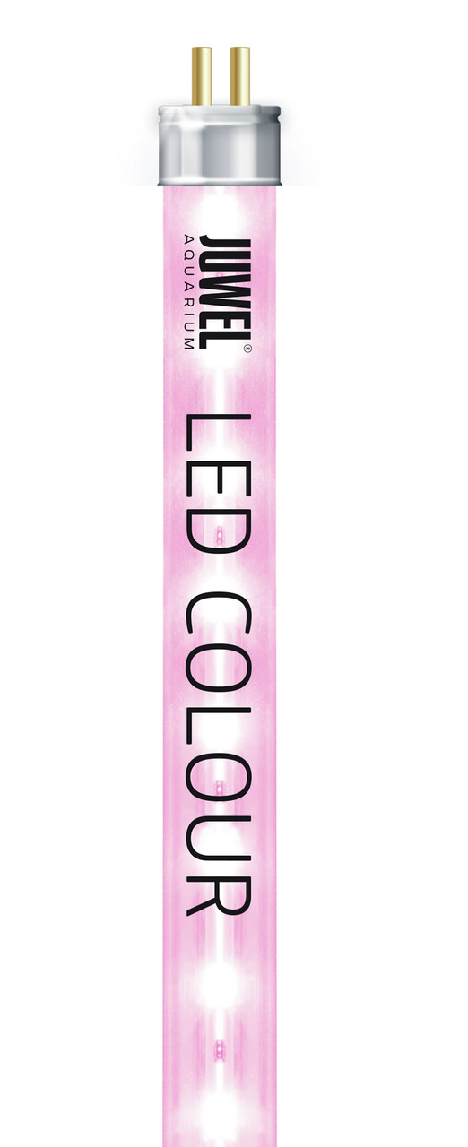 JUWEL LED Colour Leuchtstoffröhre, für Aquarien, rosa, betont Farben von Fischen-Pflanzen, ideal für Aquaristik, mit Metallkontakten.