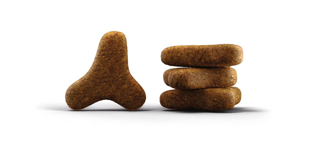 Josera Trockenfutter f. Hunde, Geflügel, Zahnpflege, Krokettenform (dreieckig-rechteckig), erw. Hunde.