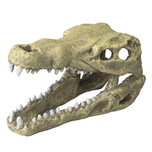 Ein naturgetreues Aquarium-Dekorationselement in Form eines Krokodil-Schädels der Marke AQUA DELLA. Geeignet für Aquarienliebhaber, bietet es eine realistische Optik und dient als Versteckmöglichkeit für Fische. Hergestellt aus ungiftigem Material, sicher