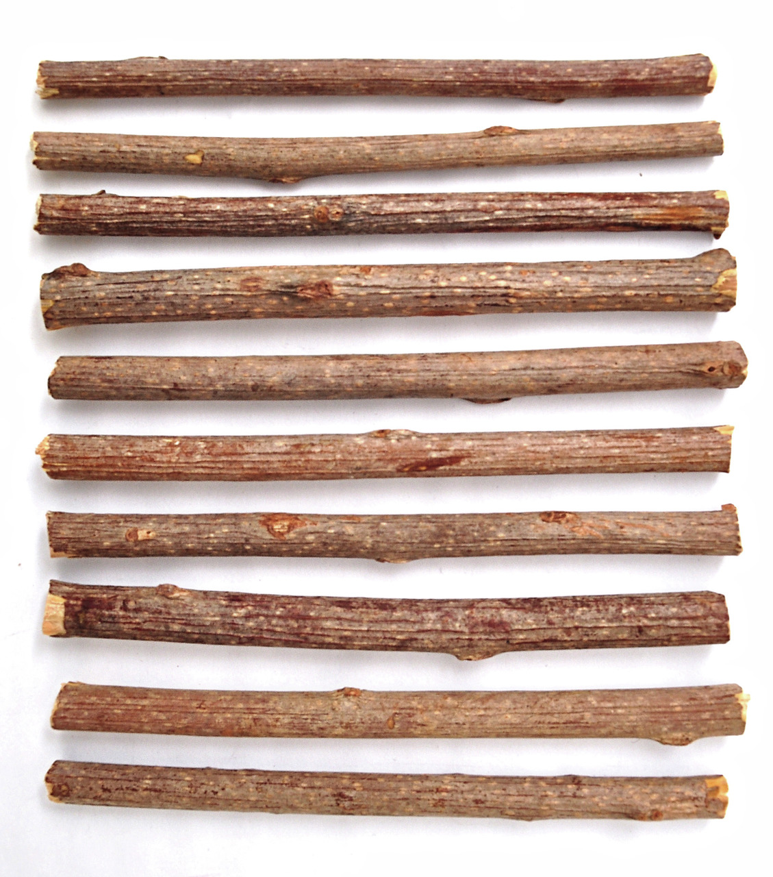 10 Kauhölzer Aumüller für Katzen, aus natürl. Matatabi-Holz, fördern Zahnpflege & Sinne, ca. gleich lang, unbehandelte Oberfläche.