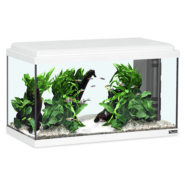 Aquatlantis Style LED 60 Aquarium, weiß, 60 L, für Einsteiger & Profis, inkl. Pflanzen, Wurzeln & Zierfische.