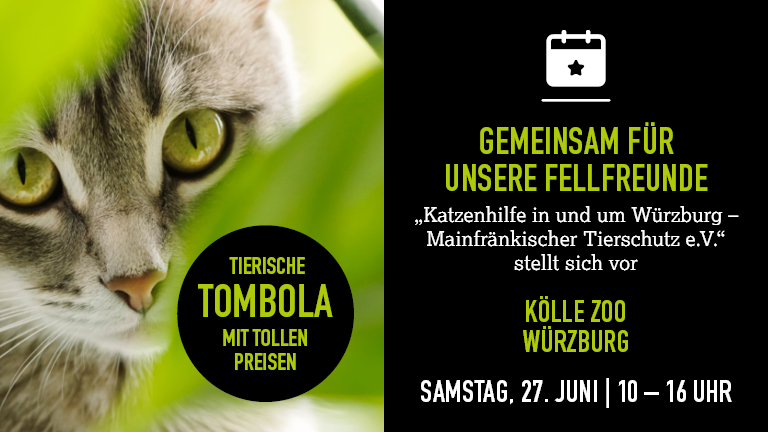 270626 Tierhilfe Wrzburg Mobile 768x432px