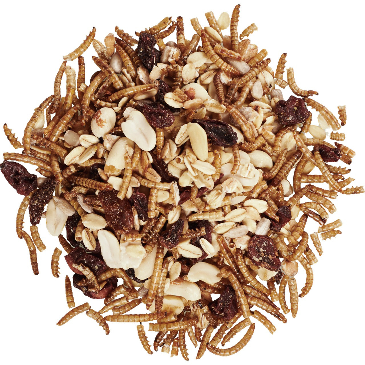 Lottis Piepmätze: Premium-Vogelfutter f. Wildvögel m. Mehlwürmern, Haferflocken, Erdnüssen, Sonnenblumenkernen, Beeren – proteinreich.