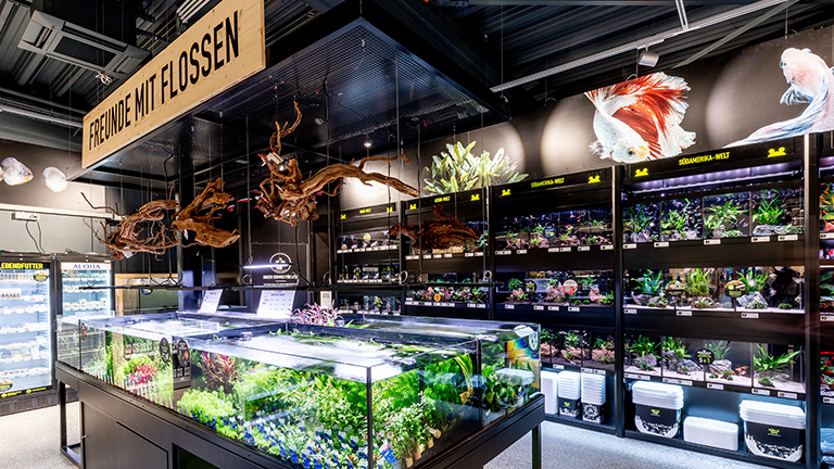 Erlebnismarkt Santk Vith