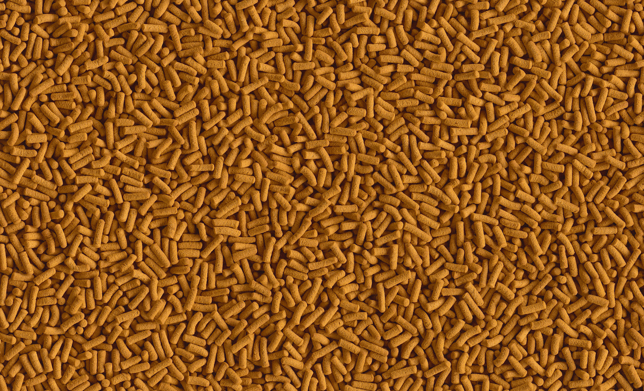 Tetra Pond Sticks, Fischfutter für Teichfische, schwimmfähig, ideal für Koi & Co., Marke Tetra, Menge nicht sichtbar.