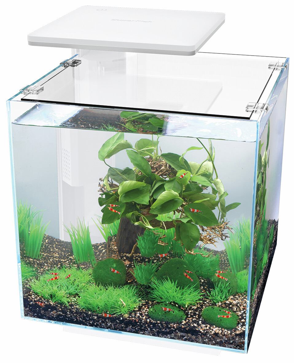 Superfish Home 25 Nano-Aquarium, ideal für Garnelen & kleine Fische, mit weißer LED-Abdeckung, Pflanzen & roten Garnelen.
