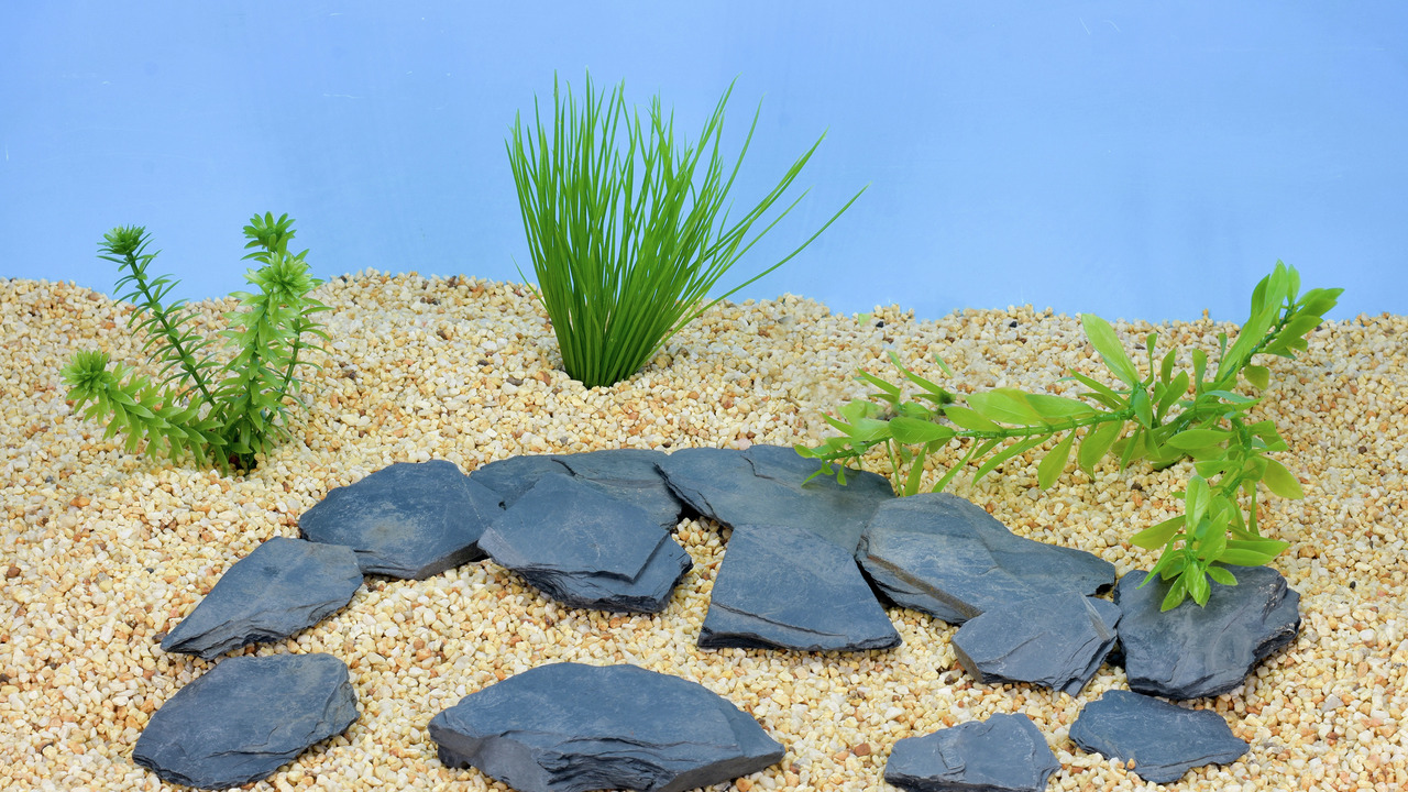 Dennerle Colorstone: Graue Schiefersteine für Aquarienbesitzer, ideal für Aquascaping, nat. Gestaltung, Verstecke.