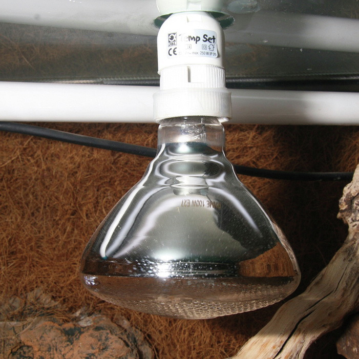 JBL ReptilDay Halogenlampe, 100W, für Reptilien im Terrarium, fördert Wohlbefinden & Aktivität durch UV-Strahlen für Vitamin-D3.