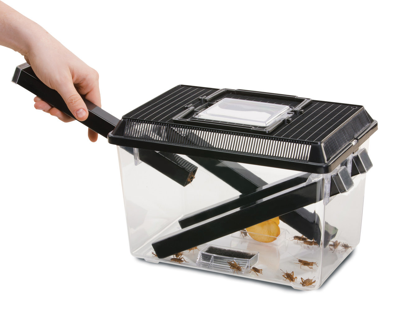 Exo Terra Futterbehälter f. Reptilien, Terrarienbesitzer, Insekten (z. B. Grillen), transparenter Behälter, 1 Stk., m. Belüftung.