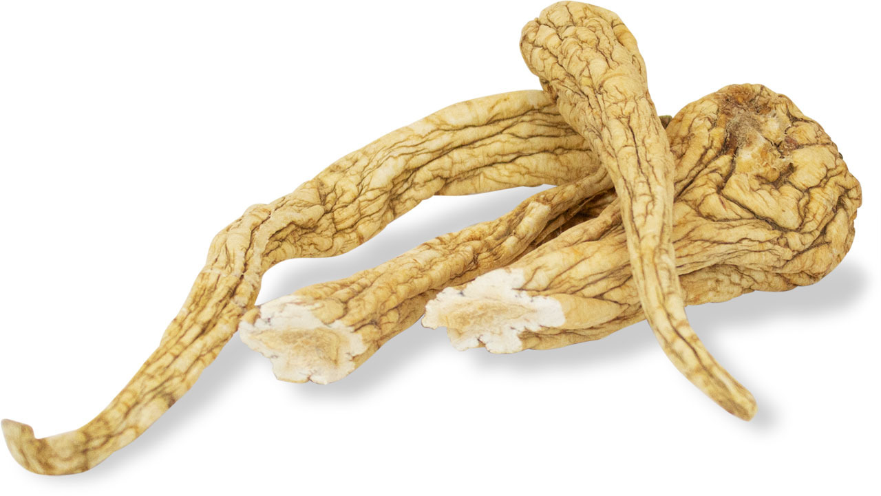 JR FARM getrocknete Pastinakenwurzeln, Ergänzungsfutter f. Kleintiere (Kaninchen, Nager), gesund, fettarm, 125g.