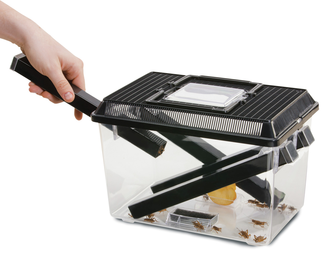 Exo Terra Cricket Pen: Behälter für Futterinsekten (Grillen), ideal für Reptilienhalter, mit Fütterungsröhren,  transparenter Kunststoff.