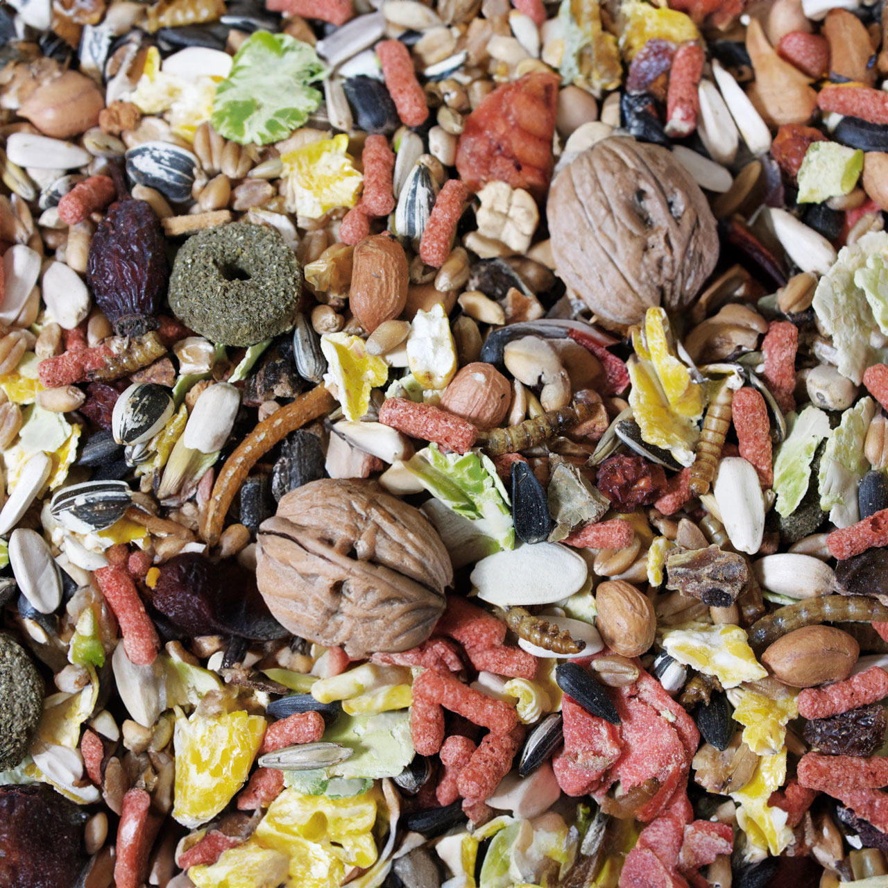 JR FARM Nagerfutter, für Hamster-Meerschweinchen, mit Nüssen, Samen, Getreide, Früchten & Gemüse, fördert Vitalität, 4024344136856.