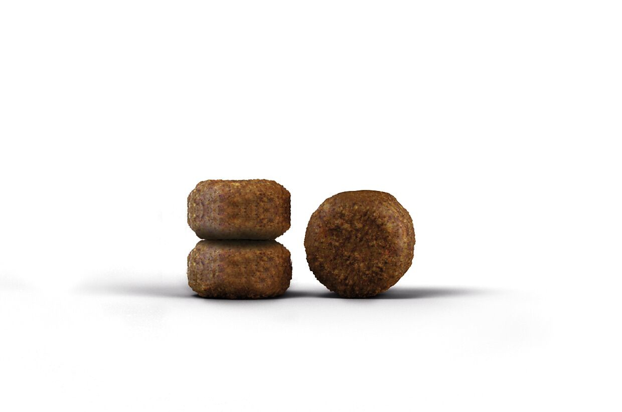 Das Bild zeigt zwei Kroketten des Hundefutters „Josera Optiness“ für ausgewachsene Hunde. Die Kroketten sind braun, zylindrisch und haben eine leicht raue Oberfläche. Dieses Trockenfutter ist speziell für mittelgroße bis große Hunde entwickelt und enthält
