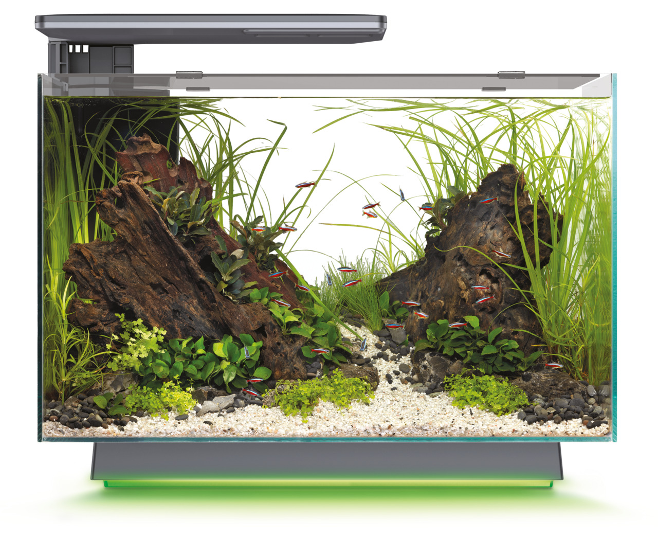 Aquarium Superfish Home 25, 25 L, LED-Beleuchtung (grünes Licht), Pflanzen, Holzdeko, Neonfische, ideal für Aquaristik-Einsteiger.