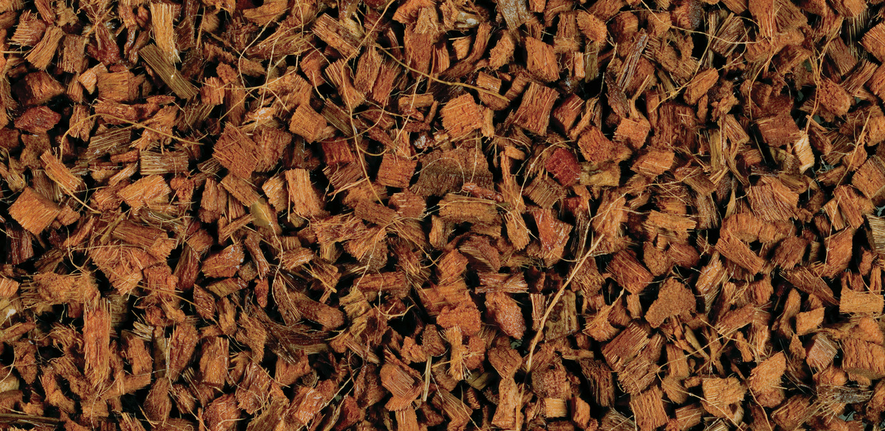 Exo Terra Kokosfaser-Bodengrund, für Reptilien & Amphibien, braune Kokosfasern, feuchtigkeitsregulierend, ideal für tropische Terrarien.