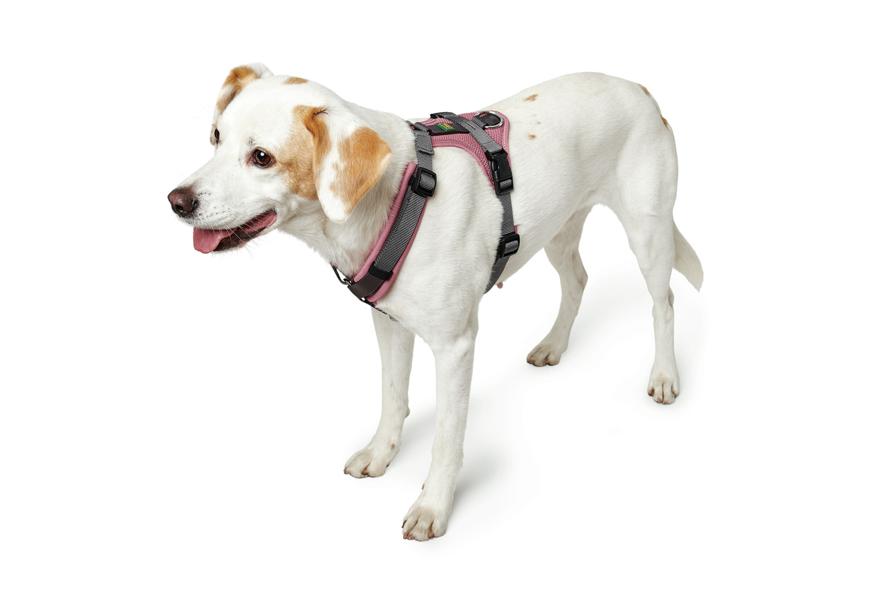 HUNTER Hundegeschirr, ergonomisch, Grau-Rosa, verstellbar, für mittelgroße Hunde, Komfort & Sicherheit bei Spaziergängen.