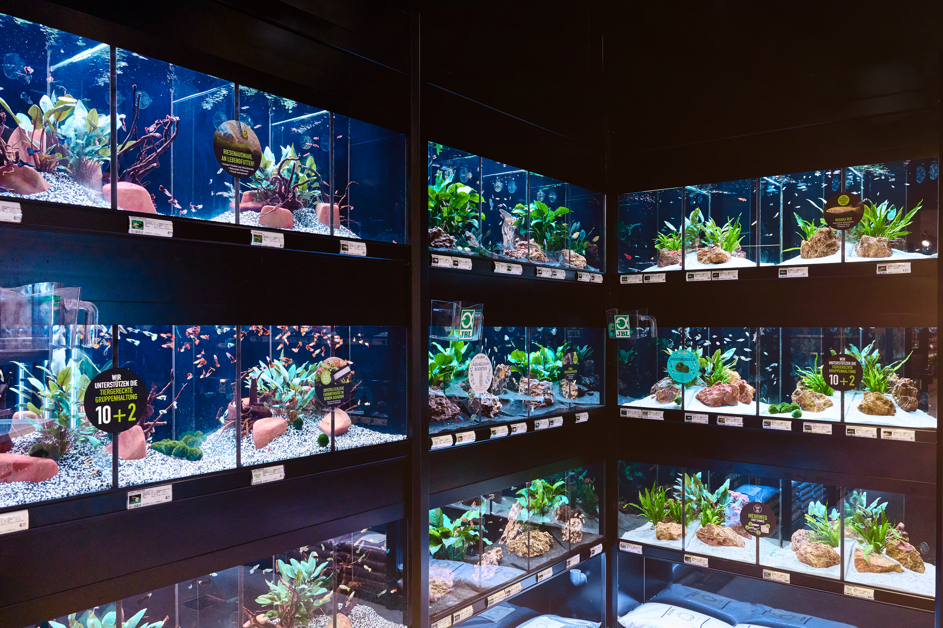 20250703 Koellezoo 00124