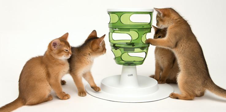 Auf dem Bild sind vier junge Katzen zu sehen, die mit dem Catit Senses 2.0 Futterbaum spielen. Der Futterbaum ist grün und weiß, besteht aus mehreren Ebenen und dient der spielerischen Futteraufnahme. Zielgruppe sind Katzen, insbesondere junge und aktive 