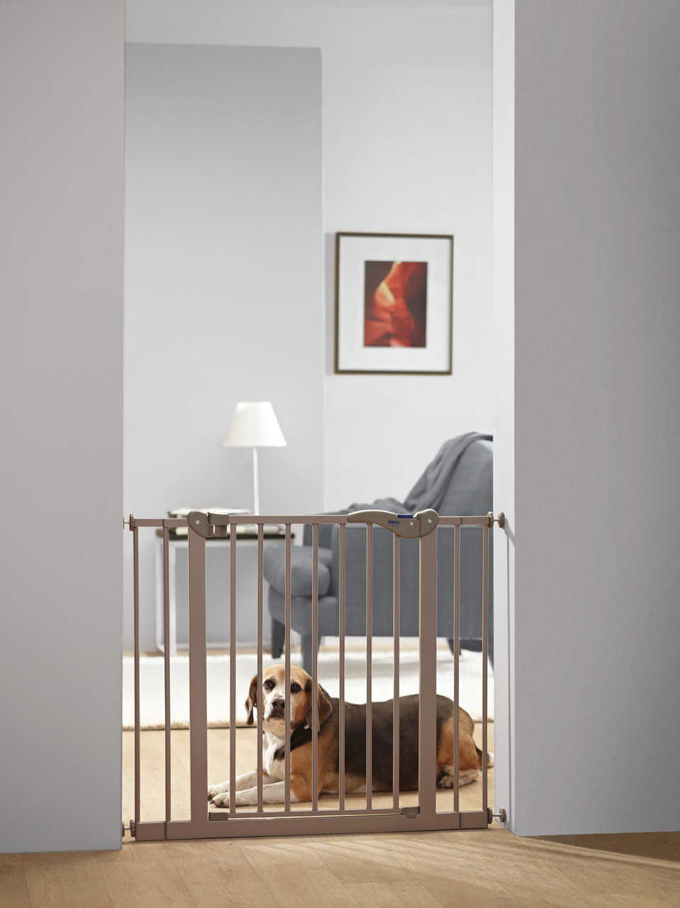 SAVIC Sicherheitsgitter für Hunde, braun, für Türöffnungen, praktische Raumtrennung, mittelgroßer Hund entspannt dahinter.