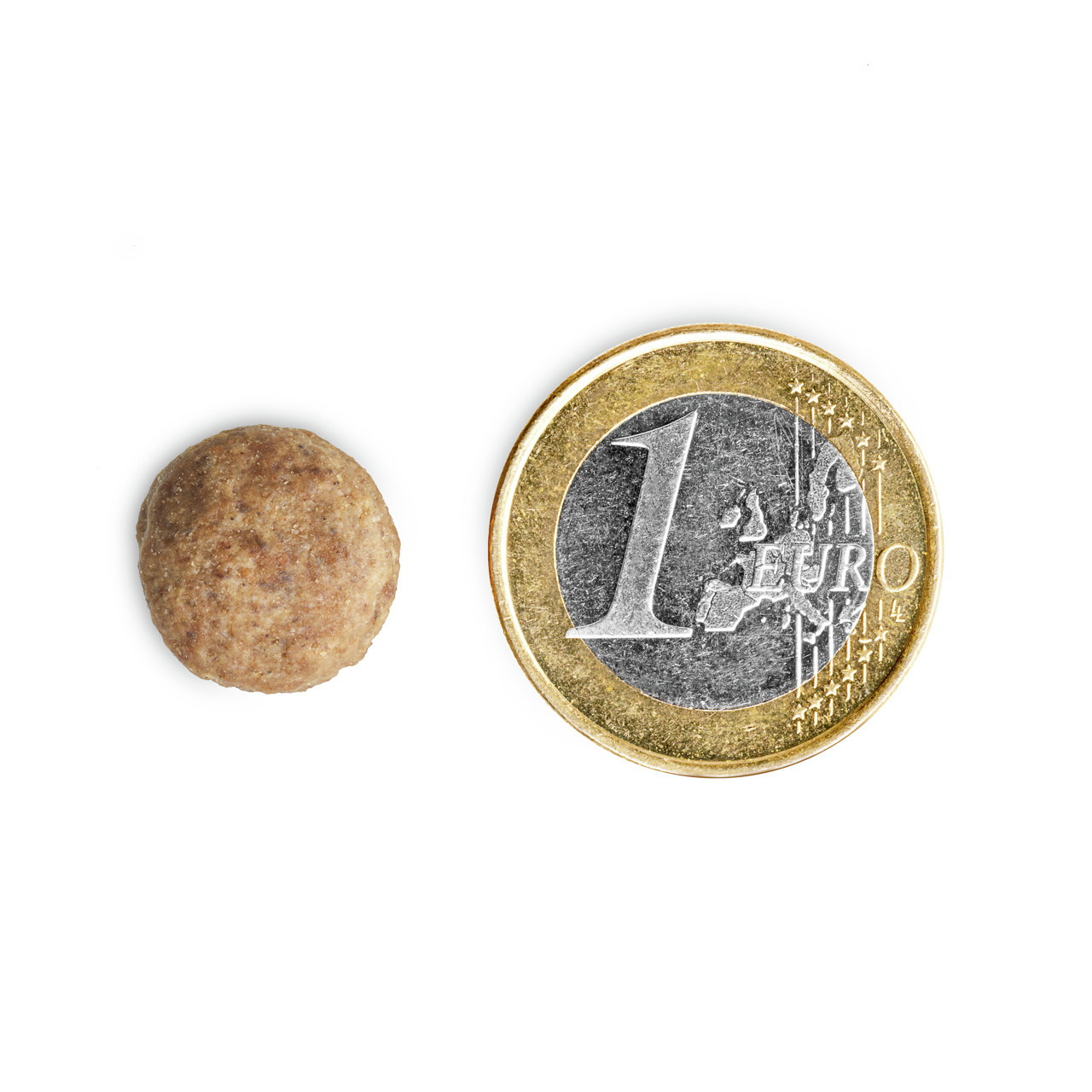 Das Bild zeigt ein einzelnes, rundes Trockenfutterstück der Marke TIKAANI neben einer 1-Euro-Münze zum Größenvergleich. Das Produkt ist für Hunde geeignet und bietet eine ausgewogene Ernährung. Die Geschmacksrichtung und Menge sind nicht direkt erkennbar.
