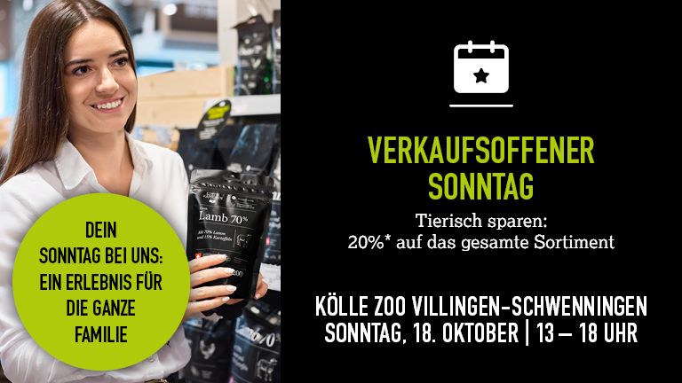 181026 Vos Vill Schwenn Mobile 768x432px