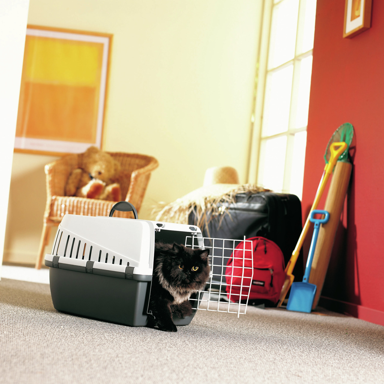 SAVIC Transportbox für Katzen & kl. Haustiere, mit Gittertür, ideal für Reisen/Ausflüge, weiß-grau, auf Bild mit schwarzer Katze.