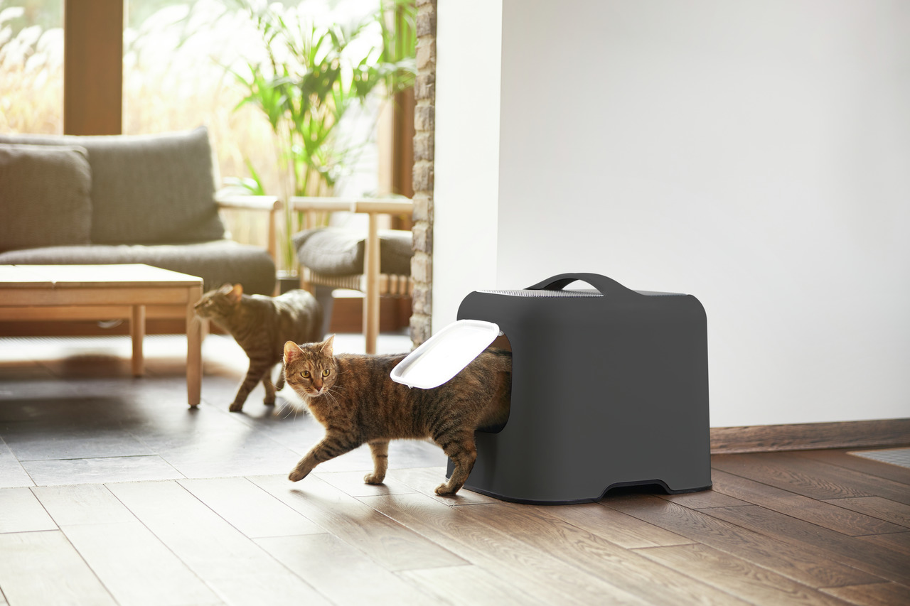 Katzentoilette „Rotho MyPet Berty“, für Katzen, modernes dunkles Design, mit Tragegriff & Klapptür, ideal für den Innenbereich.