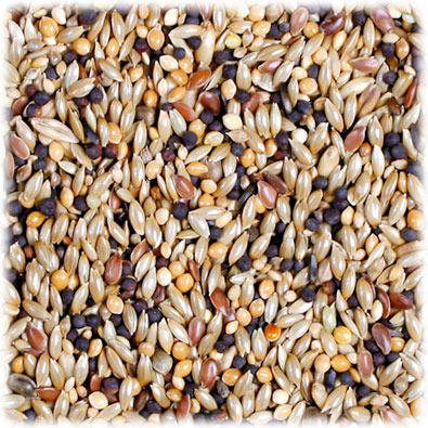 JR FARM Individual Wellensittichfutter, 1 kg: Für Wellensittiche, hochwertige Zutaten, ausgewogene Ernährung.