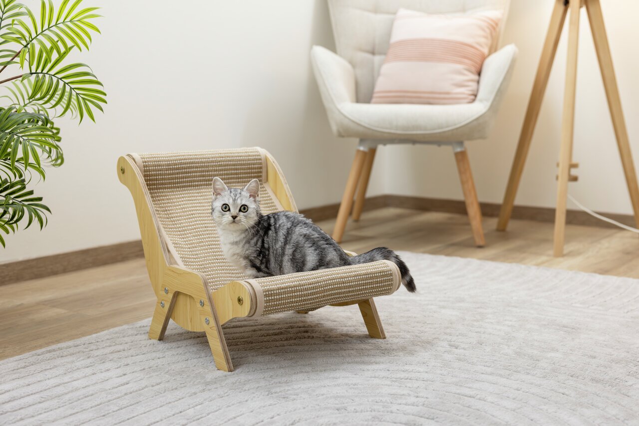 Kratzmöbel von Kerbl für Katzen, aus Holz und Sisal, ideale Kratz- und Ruhefläche, stilvoll im modernen Wohnraum platziert.