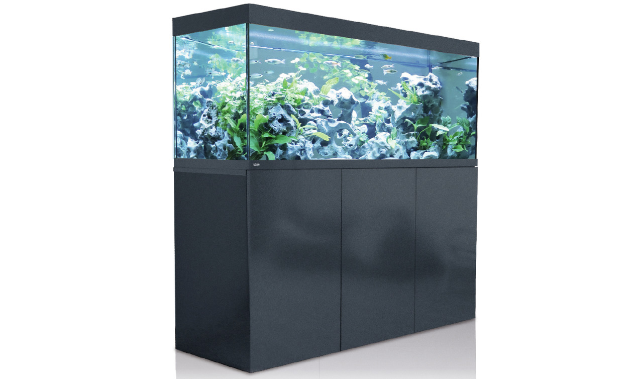 Amtra Aquarium-Set, für Aquaristik-Fans, inkl. Glasbecken, Pflanzen, Fische, Unterschrank, stilvoll für Zierfische, Wohnambiente.