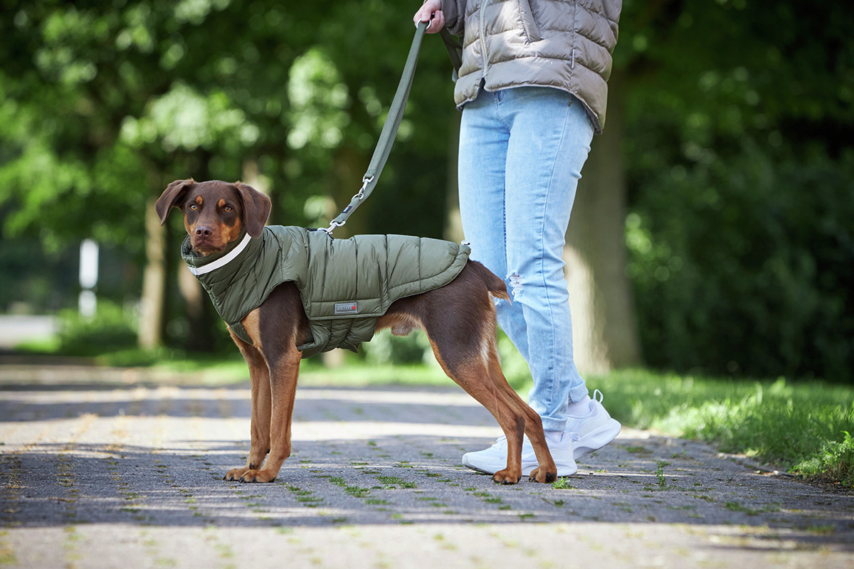 Wolters Steppjacke Cosy 60 cm olive