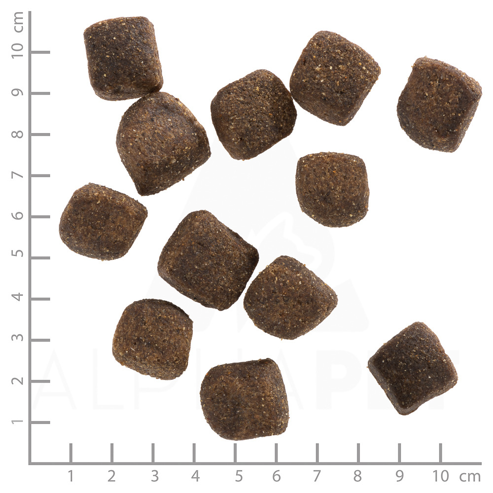 Wolfsblut Trockenfutter Wild Duck (Ente) für ausgewachsene Hunde, braune Kroketten, quadratisch, ca. 1,5 cm, Maßskala sichtbar.