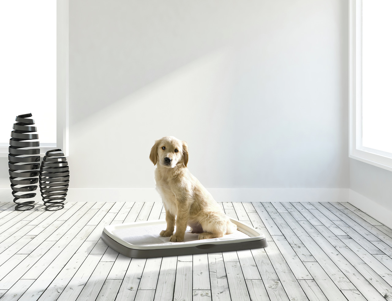 SAVIC Hundetoilette für Welpen, hygienisch & ideal fürs Training, weiß, rechteckig, geeignet für junge Hunde in modernem Design.