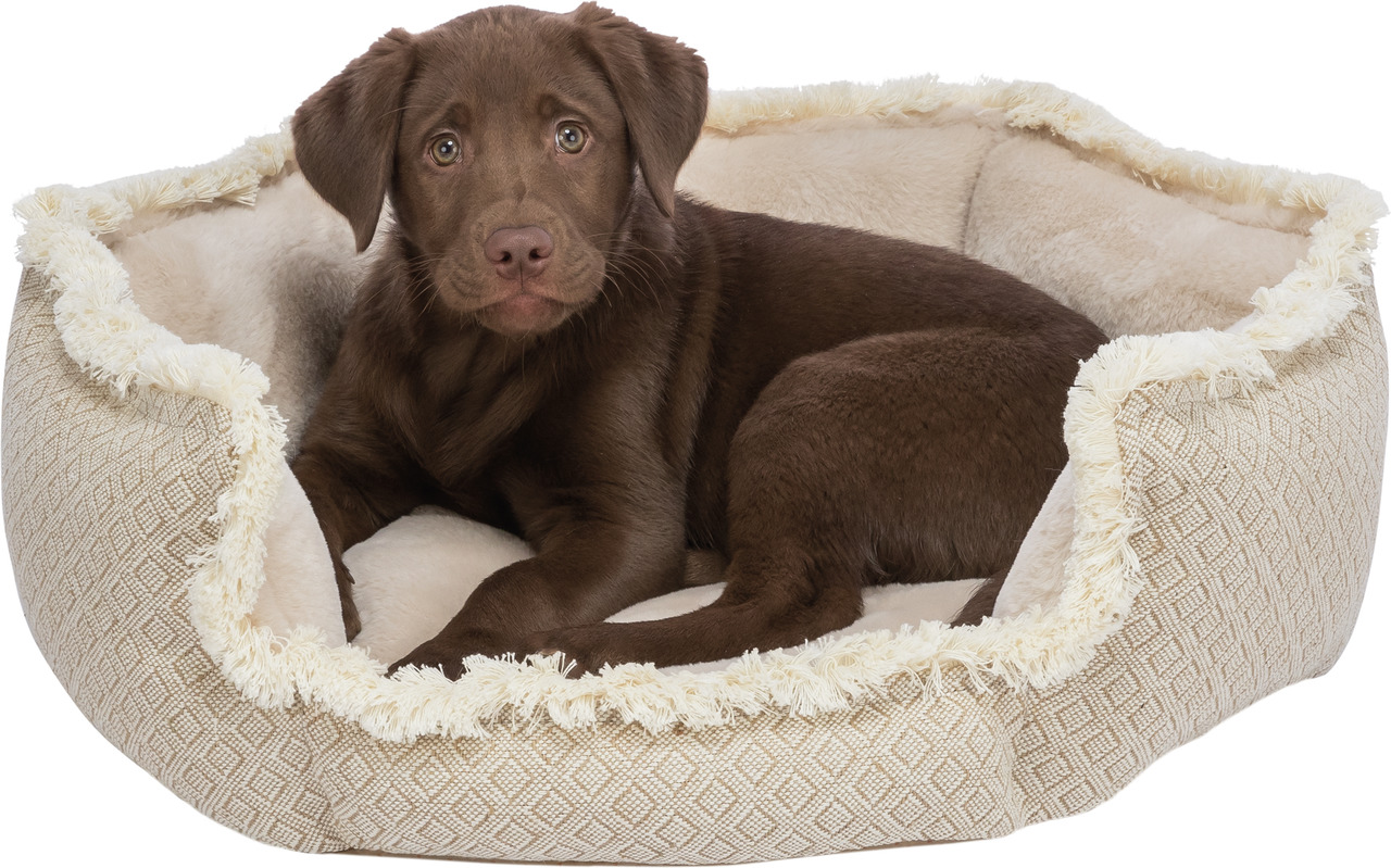 TRIXIE Hundebett, beige, Plüsch, dekorative Struktur, für kl.-mittelgr. Hunde, hoher Komfort, ideal zum Kuscheln.