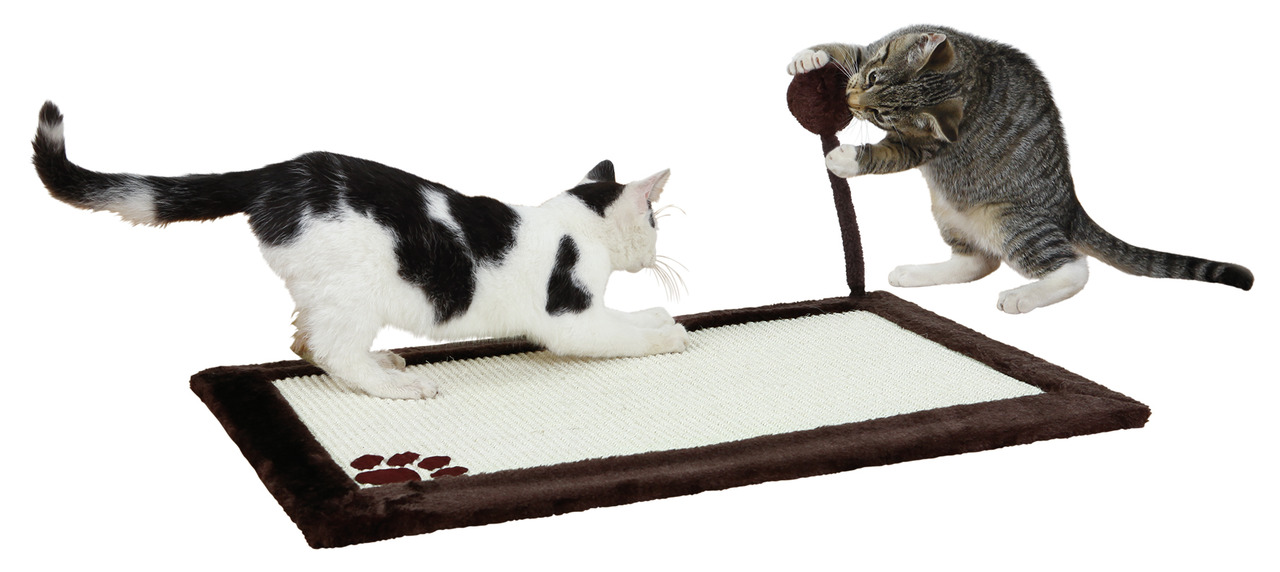 Auf dem Bild ist die TRIXIE Kratzmatte mit Spielzeug zu sehen, die speziell für Katzen entwickelt wurde. Zwei Katzen spielen darauf: eine mit der integrierten Spielkugel und die andere auf der robusten Sisalfläche. Die Matte hat braune Ränder, eine Pfoten