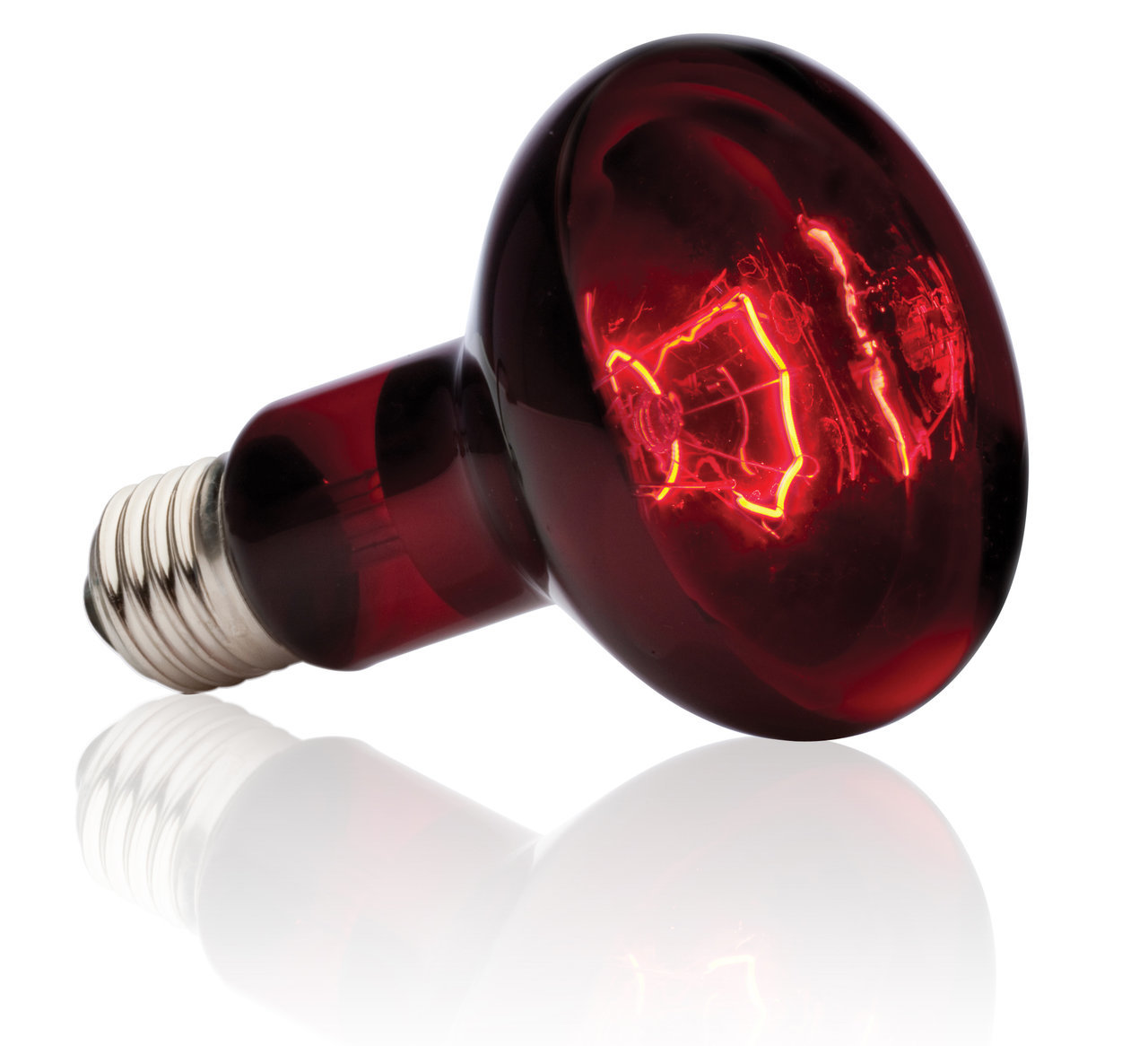 Das Bild zeigt die Exo Terra Heat Glo Infrarot-Wärmelampe, geeignet für Reptilien und andere Terrarientiere. Die Lampe hat eine rote Glasoberfläche und eine E27-Fassung. Sie dient zur Wärmeversorgung und fördert das Wohlbefinden der Tiere. Die abgebildete