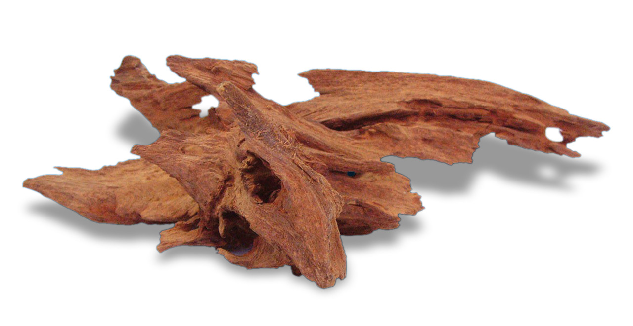 Das Bild zeigt das Produkt „amtra Mangrovenholz“, ein Naturprodukt der Marke amtra, das speziell für Aquarien und Terrarien geeignet ist. Es handelt sich um dekoratives Holz, das als Versteckmöglichkeit für Fische und Reptilien dient und das Wasser leicht