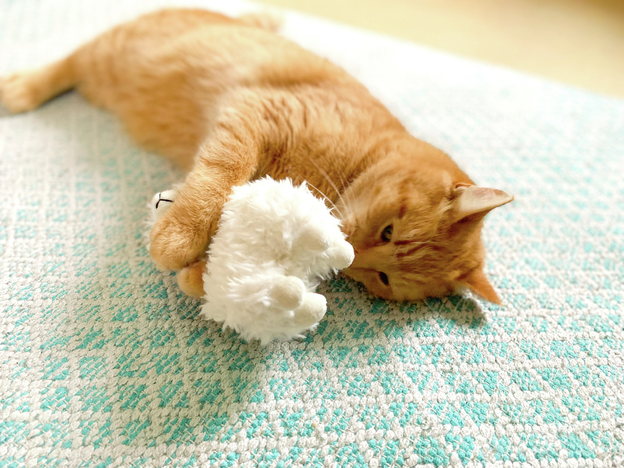 Ein roter Kater liegt entspannt auf einem hellblauen Teppich und spielt mit einem weißen Plüschspielzeug in Form eines Schafes. Das Produkt ist das Aumüller Baldrian-Katzenspielzeug „Schaf“, speziell für Katzen entwickelt. Es enthält Baldrian, um die Spie