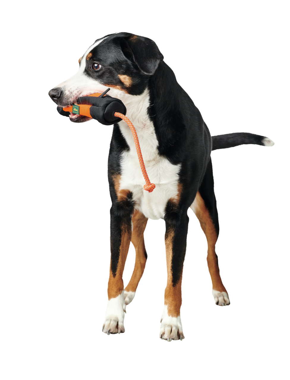 HUNTER Dummy-Spielzeug, für Hunde, Trainings--Apportierspielzeug, robust, orangefarbenes Seil, gut sichtbar, ideal für aktive Hunde.