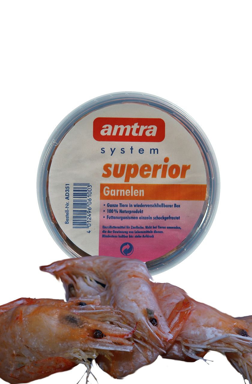 Das Bild zeigt das Produkt "amtra system superior Garnelen" in einer wiederverschließbaren Box. Es handelt sich um ein Einzelfuttermittel für Zierfische, bestehend aus ganzen Tieren, die einzeln schockgefrostet wurden. Die Garnelen sind ein 100 % Naturpro