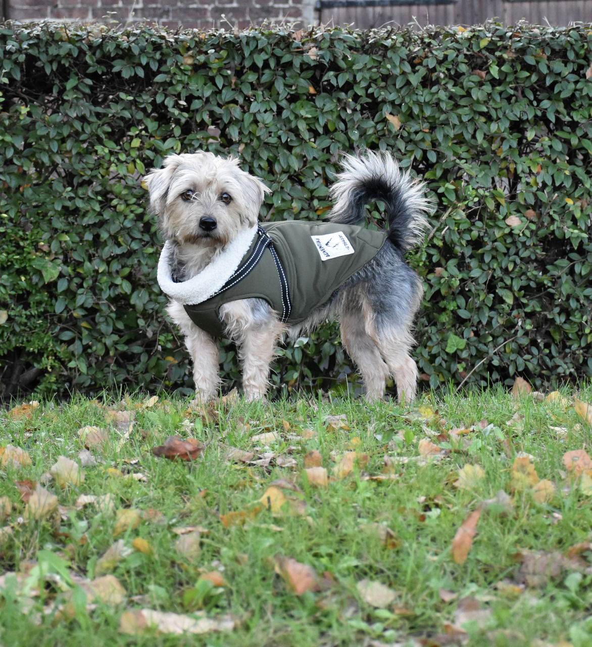 Bobby Hundemantel, olivgrün, mit weißem Innenfutter, für kl.-mittelgr. Hunde, Schutz vor Kälte, ideal für Herbst-Winter.