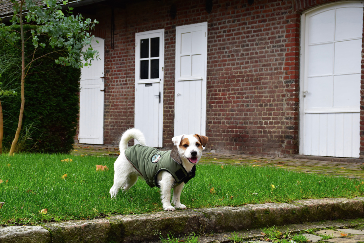 Bobby Hundejacke, olivgrün, für kl.-mittelgr. Hunde, schützt vor Kälte-Regen, ideal für Herbst-Winter-Spaziergänge.