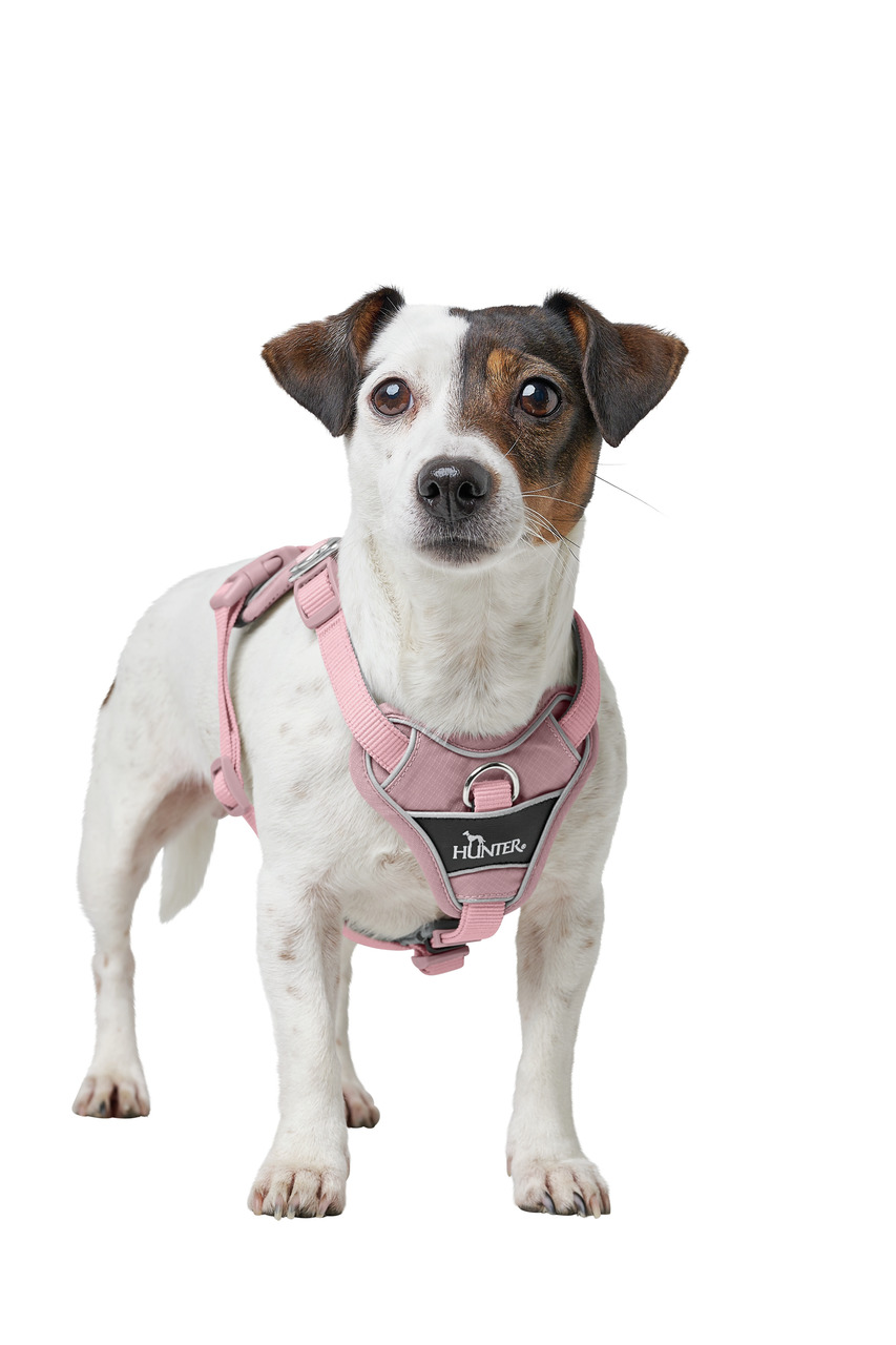 HUNTER rosa Hundegeschirr, ergonomisch, mit Metallring, für kl.-mittelgr. Hunde, hoher Tragekomfort, ideal für Jack Russell.