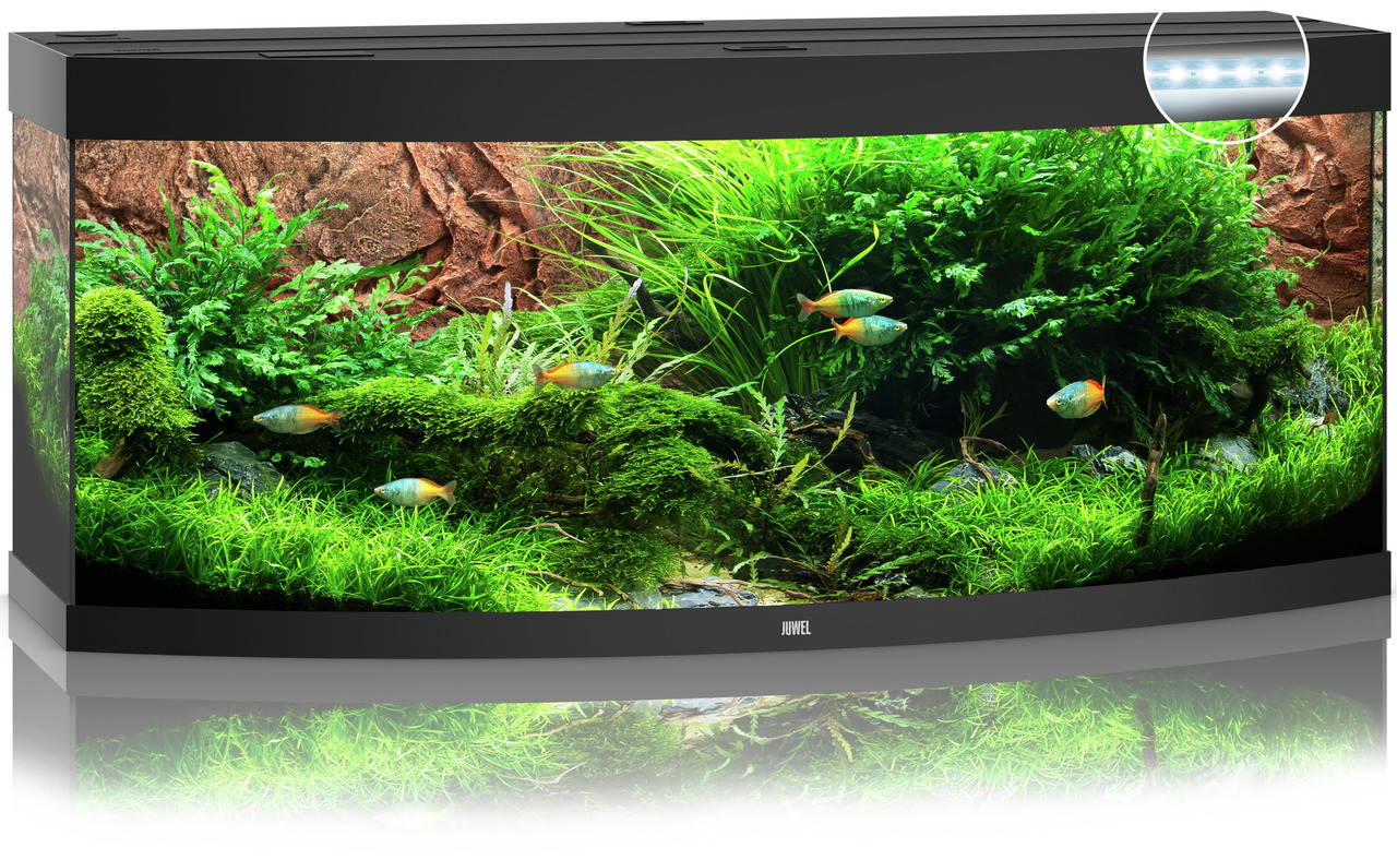 Das Bild zeigt das JUWEL Vision 450 LED Aquarium, ein hochwertiges Aquarium für Aquaristik-Enthusiasten. Es ist mit einer gebogenen Frontscheibe ausgestattet, die eine beeindruckende Panoramaansicht bietet. Das Aquarium ist für Süßwasserfische geeignet un