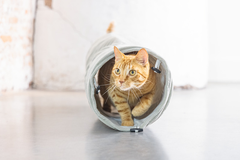 Designed by Lotte Katzentunnel, hellgrau, für Katzen, Spiel- & Versteckmöglichkeit, weiche Oberfläche, ideal für aktive Katzen.