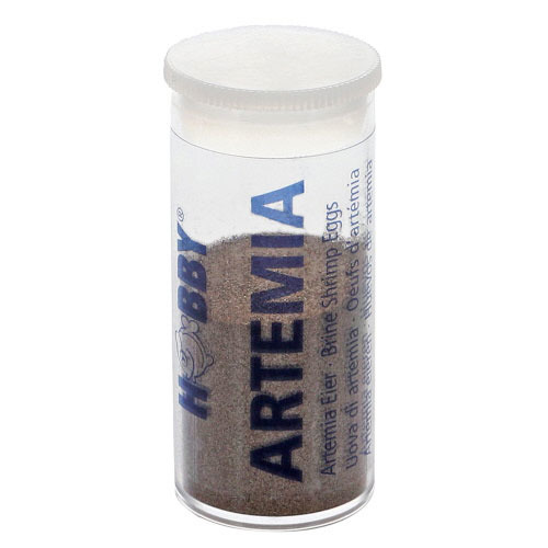 Ein transparentes Kunststoffgefäß mit weißem Schraubdeckel, das Artemia-Eier der Marke HOBBY enthält. Auf der Verpackung steht „HOBBY Artemia Eier – Brine Shrimp Eggs“. Geeignet für Aquarienfische als Futter. Die Menge im Behälter ist sichtbar und beträgt