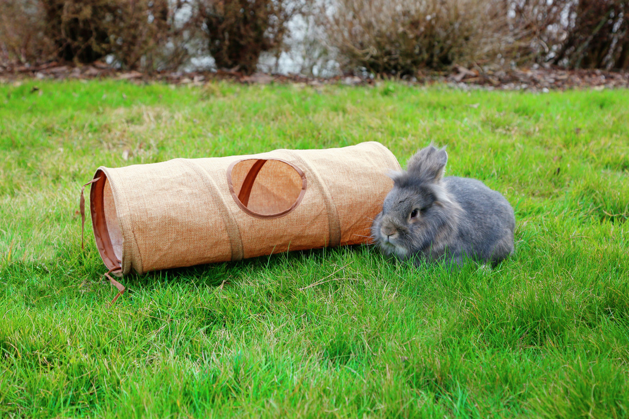 KERBL Spieltunnel für Kaninchen, robustes Material, ideal zum Spielen/Verstecken, braun, speziell für Kaninchen.