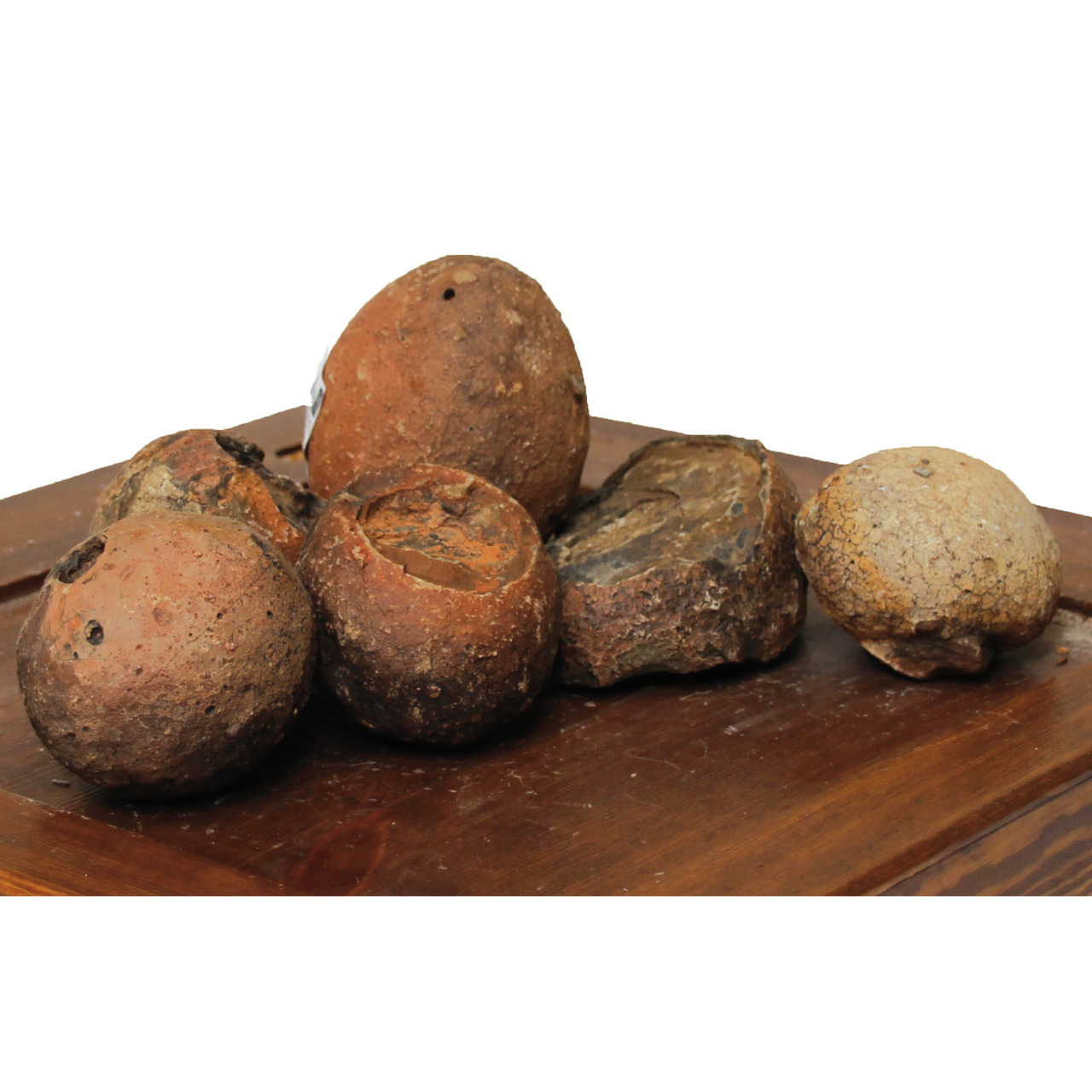 Amtra Tonkugeln, Dekoration für Aquarien, natürl. Look, für Aquarienliebhaber, braun, unregelmäßig geformt. EAN: 4012496042040.