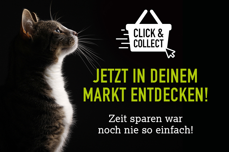 Click Collect 906x604px M Interims